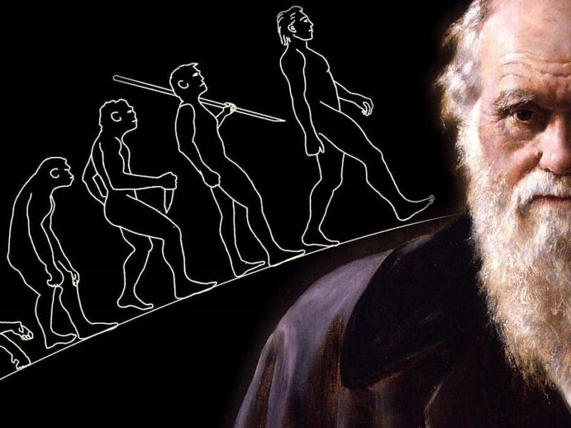 Chrles Darwin; an old man with long grey beard