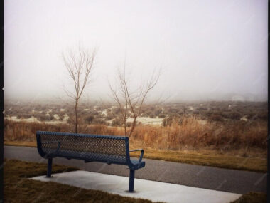 Empty bench in park