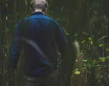 Rear view of man walking amidst plants in forest