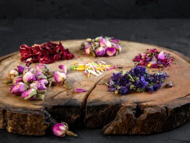 Side view of assortment of dry flower and rose tea on wooden board on black