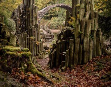 View of old ruin in forest