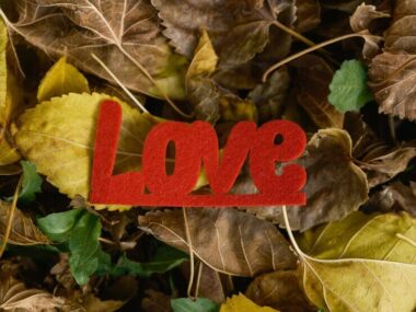 Red decorative love lettering on leaves