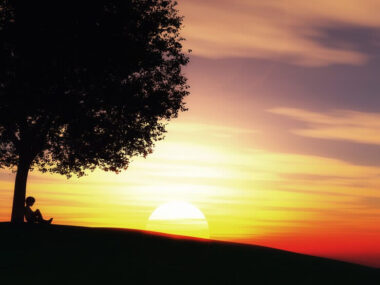 child sat under a tree against a sunset landscape