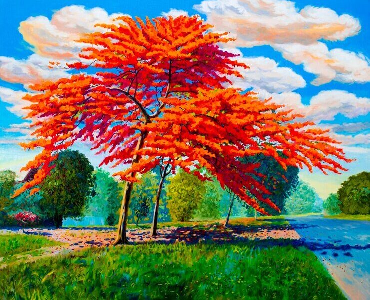 Oil painting landscape original red orange color of Peacock flowers in the morning. Hand painted, blue sky cloud background,beauty nature summery season,illustration