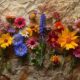 Dried flowers on torn paper