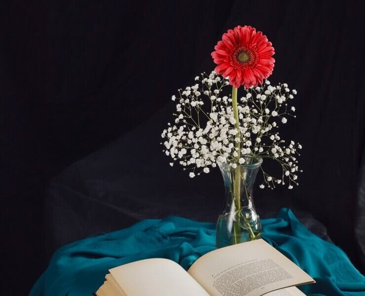 Flower with bloom twigs in vase near volume and blue textile in darkness