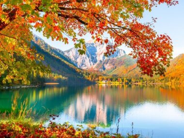 Yellow autumn trees on the shore of lake in Alps Austria Vorderer Langbathsee lake tumn landscape