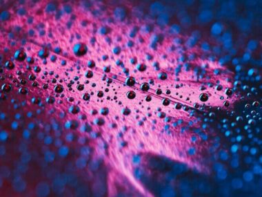 Blue water droplets on pink textured background