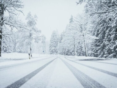 Wide shot of a road fully covered by snow with pine trees on both sides and car traces