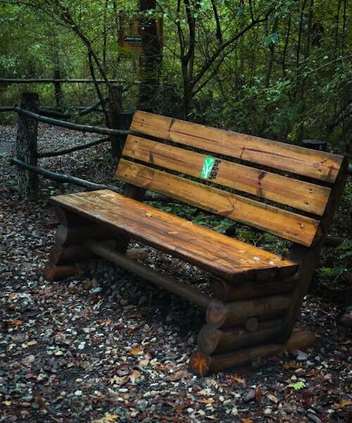 Rustic Wooden Bench in Forest Setting