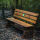 Rustic Wooden Bench in Forest Setting