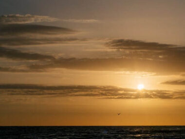 A sunset over the ocean with a bird flying