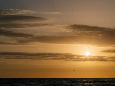 A sunset over the ocean with a bird flying