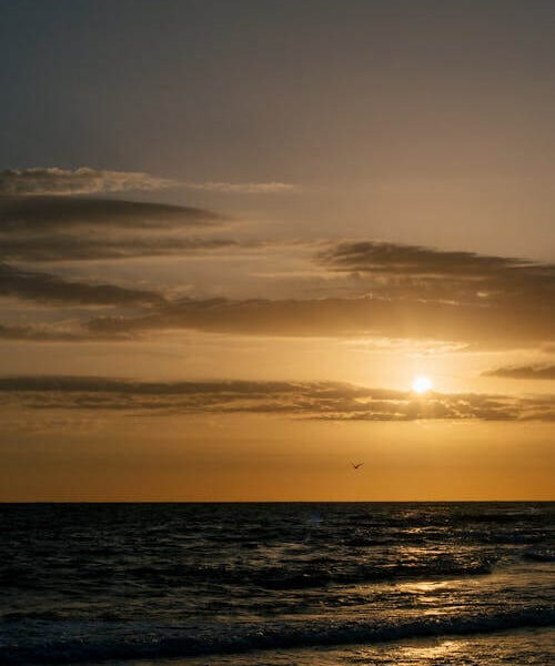 A sunset over the ocean with a bird flying