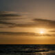 A sunset over the ocean with a bird flying