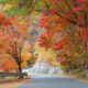 Scenic Autumn Road with Vibrant Foliage