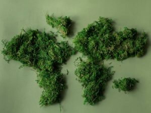 Green world continents made of plants