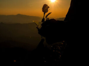 ilhouette of couple holding rose on hill at the sunset time skyline on background