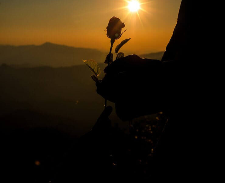 ilhouette of couple holding rose on hill at the sunset time skyline on background