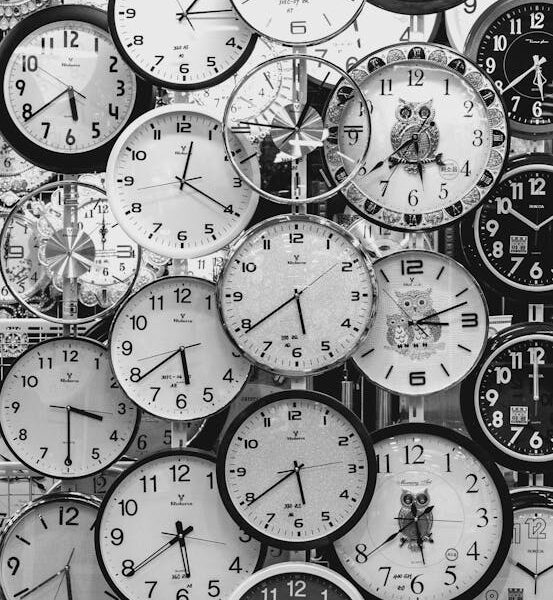 Black And White Photo Of Clocks